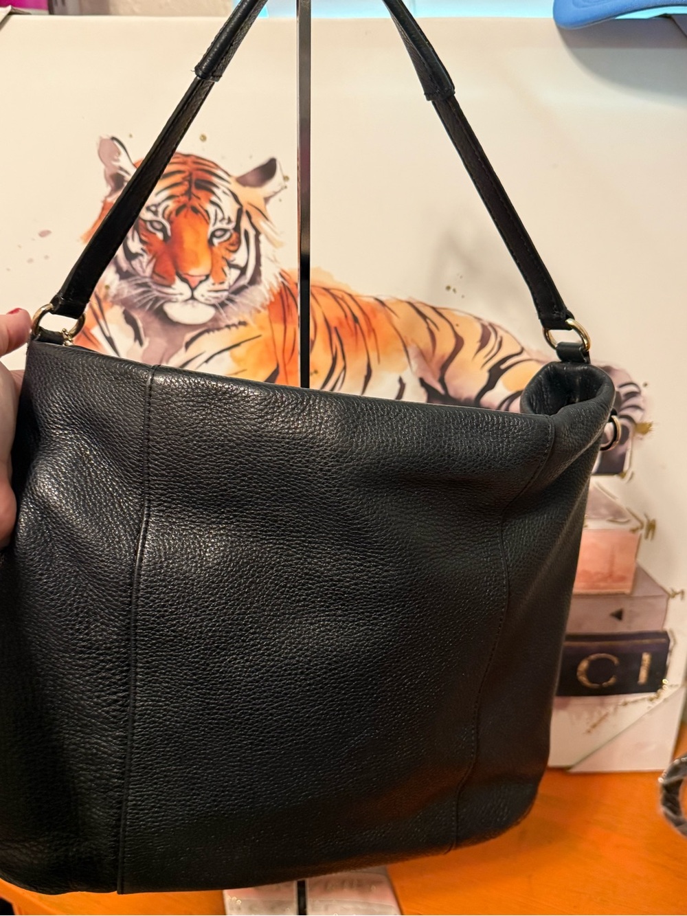 Coach Isabelle Black Pebbled Leather Hobo Bag - Picture 6 of 16